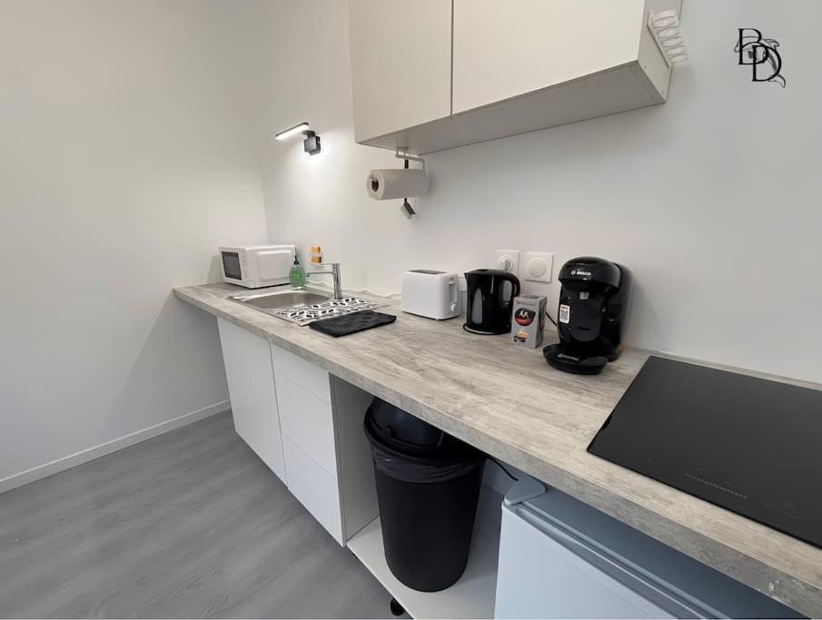 T1 Bis Appartement B3 30M2 Cosy 7Min A Pieds Des Gares Roanne Extérieur photo