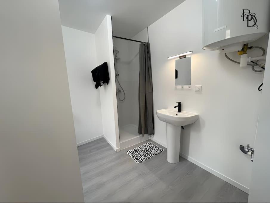 T1 Bis Appartement B3 30M2 Cosy 7Min A Pieds Des Gares Roanne Extérieur photo