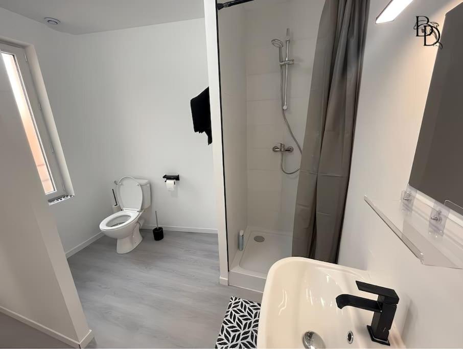 T1 Bis Appartement B3 30M2 Cosy 7Min A Pieds Des Gares Roanne Extérieur photo